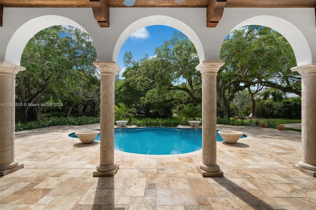 view of pool featuring a patio area and ceiling fan