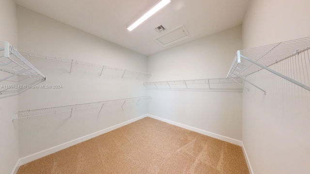 walk in closet with carpet flooring