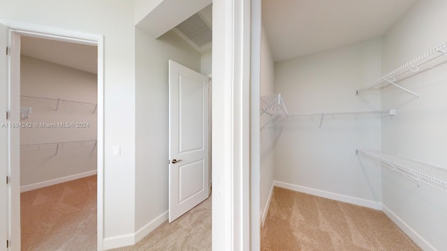 walk in closet featuring light carpet