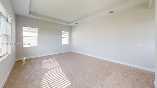 empty room with carpet and a tray ceiling