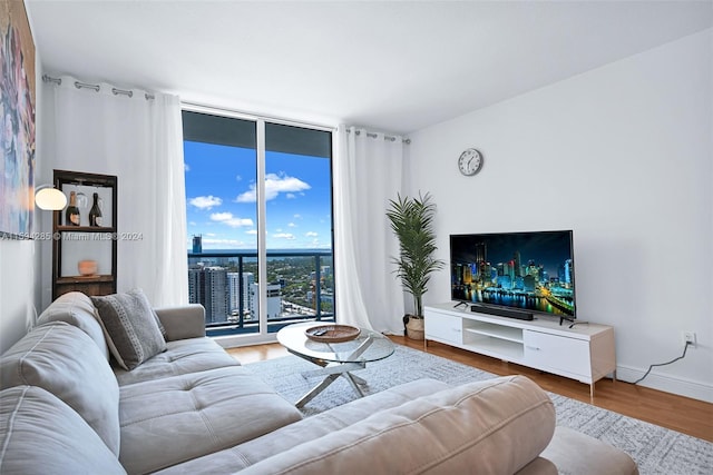 living room with floor to ceiling windows and wood-type flooring