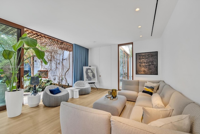 living room featuring expansive windows, a wealth of natural light, and light wood-type flooring