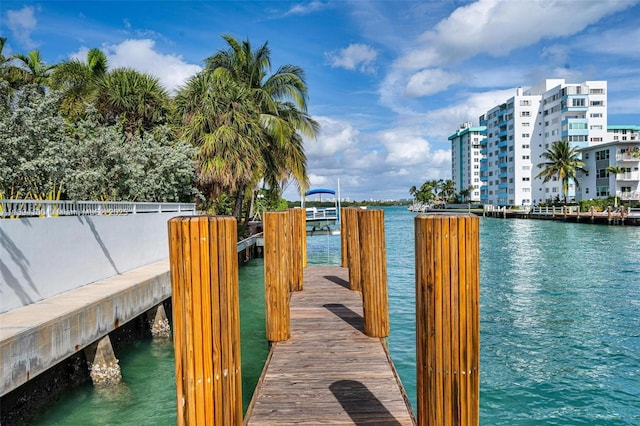 dock area with a water view