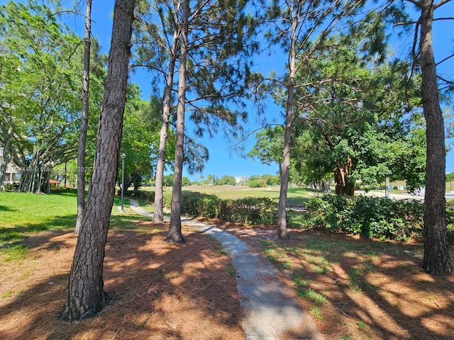 6921 Environ Blvd Unit 4N, Lauderhill, FL 33319 - view of yard