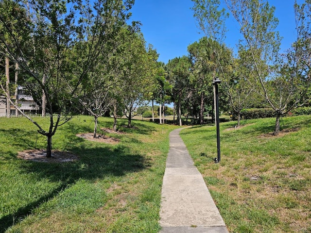view of property's community with a yard