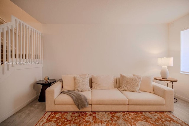 living room featuring wood-type flooring