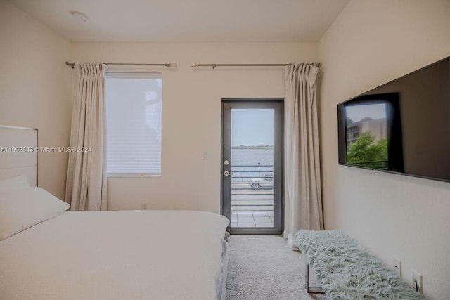 bedroom with access to outside, carpet flooring, and multiple windows