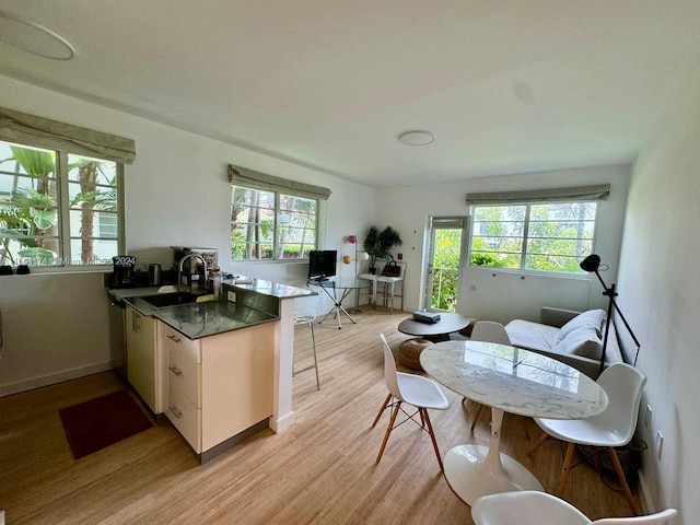 kitchen featuring sink, light wood-type flooring, and plenty of natural light