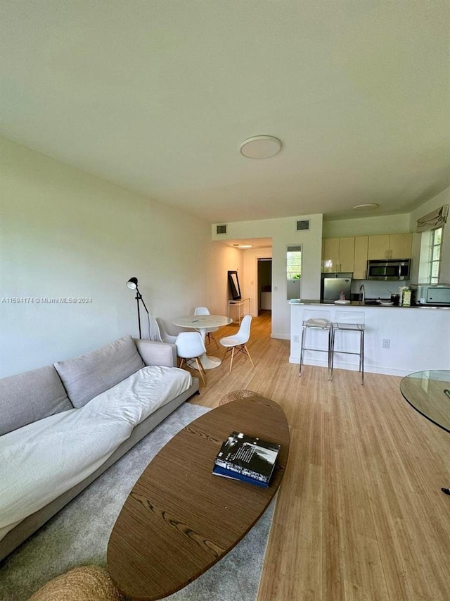 living room featuring light hardwood / wood-style floors and plenty of natural light