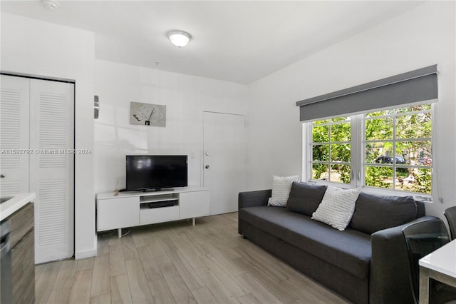 living room with light hardwood / wood-style floors