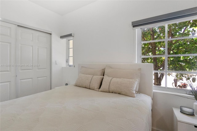 bedroom with multiple windows and a closet