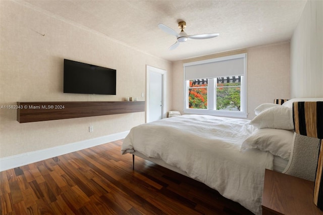 177 NE 44th St, Miami, FL 33137 - photo 12