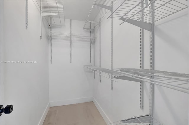 view of walk in closet