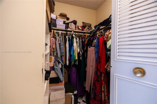 view of walk in closet