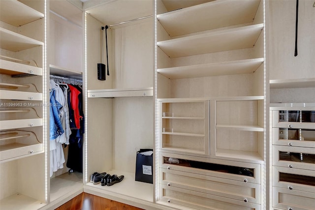 spacious closet with hardwood / wood-style flooring