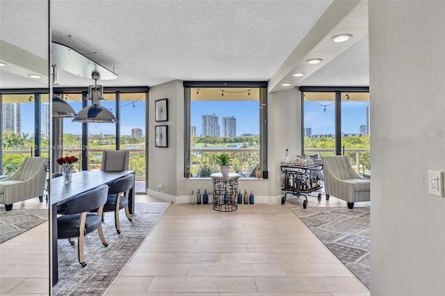 interior space featuring light hardwood / wood-style floors and a textured ceiling