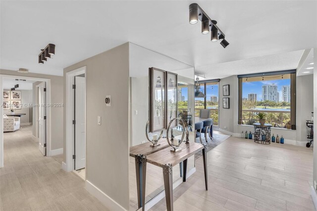 hall with light hardwood / wood-style floors and track lighting