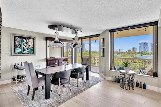 dining room with a wealth of natural light, a textured ceiling, and light hardwood / wood-style flooring