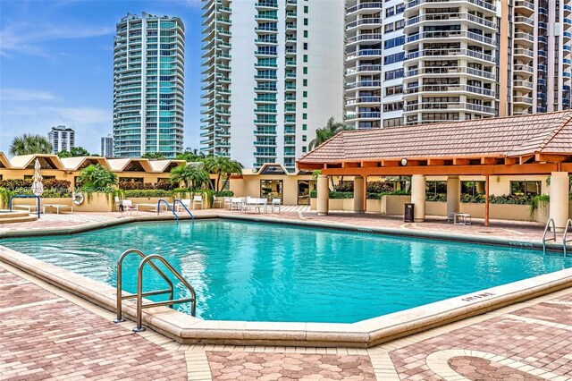 view of swimming pool featuring a patio