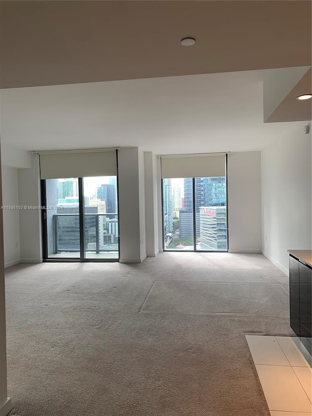 carpeted empty room featuring a wealth of natural light