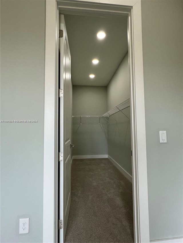 spacious closet with dark carpet