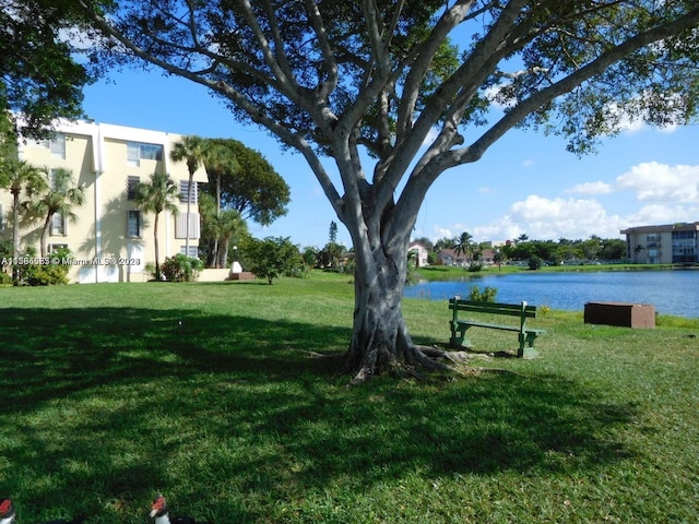 view of home's community featuring a yard and a water view