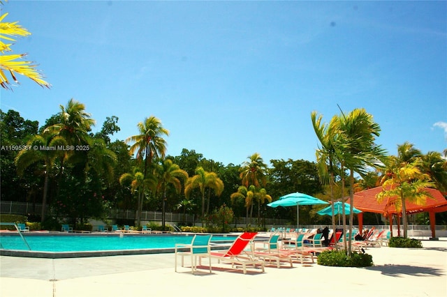 view of swimming pool with a patio area