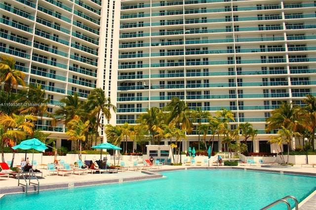 view of pool with a patio area