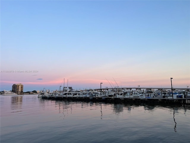 property view of water with a dock