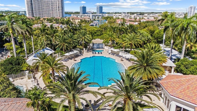 view of swimming pool with a patio