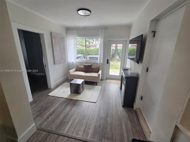 interior space featuring dark wood-type flooring