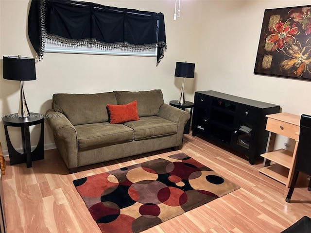 living room featuring light hardwood / wood-style floors