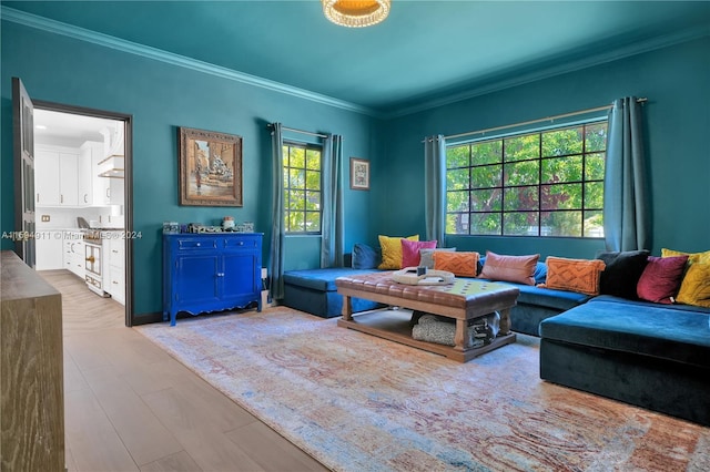 living room with crown molding and a wealth of natural light