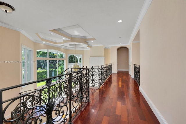 hallway featuring crown molding and dark hardwood / wood-style flooring