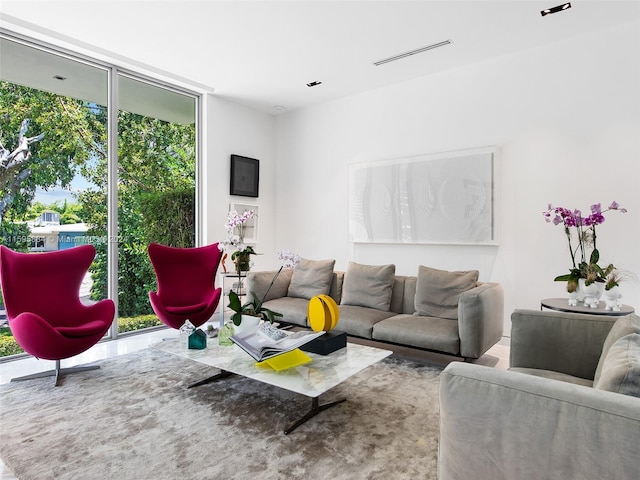 living room with expansive windows and a healthy amount of sunlight