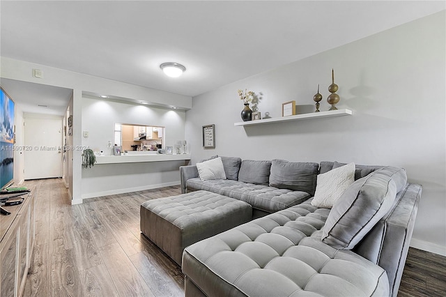 living room featuring wood-type flooring