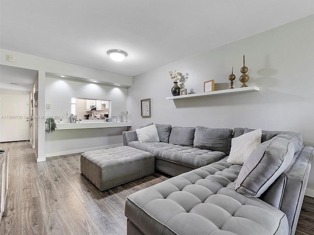 living room featuring hardwood / wood-style floors