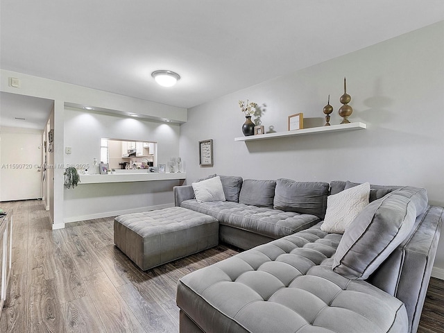 living room featuring hardwood / wood-style flooring