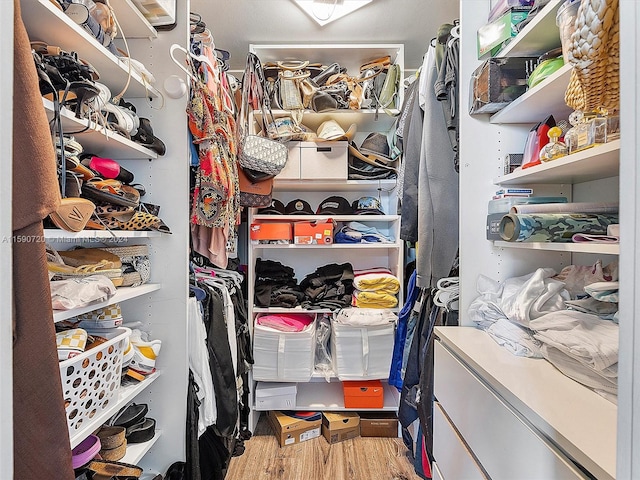 walk in closet featuring wood-type flooring