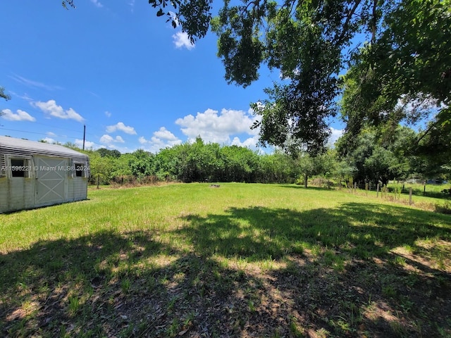 view of yard featuring a shed