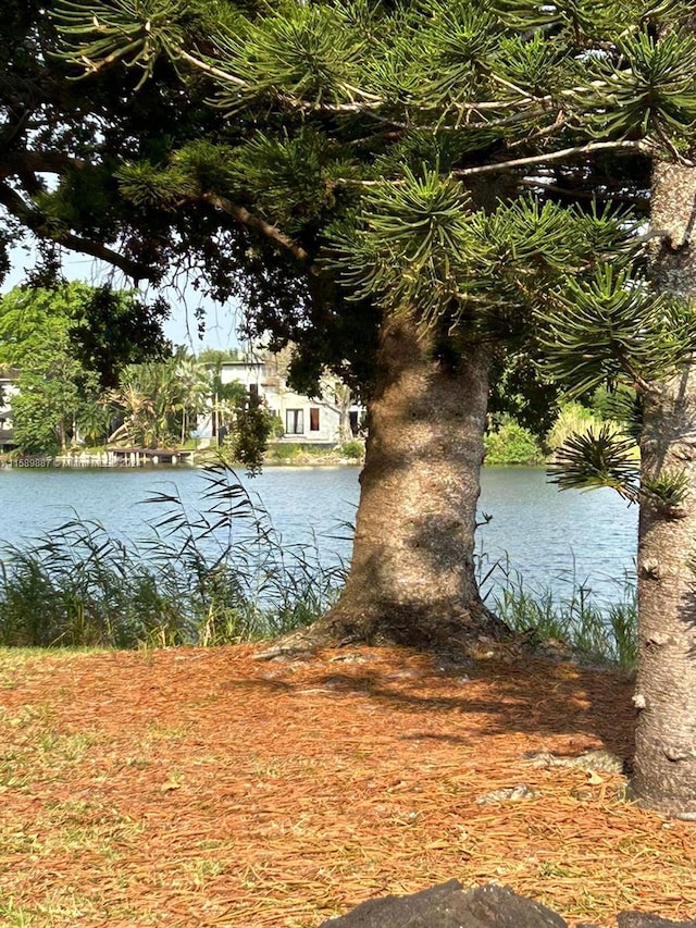 view of water feature