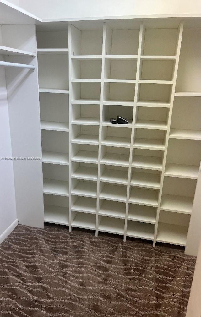 spacious closet with dark colored carpet