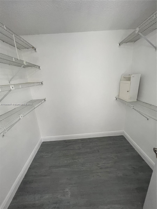 walk in closet featuring dark hardwood / wood-style floors