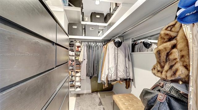 view of walk in closet