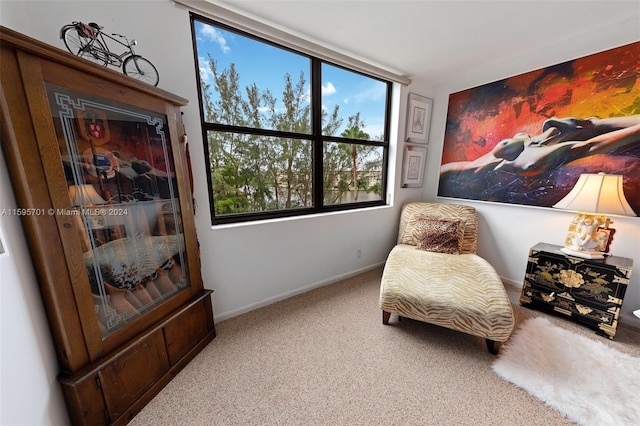 living area featuring carpet flooring