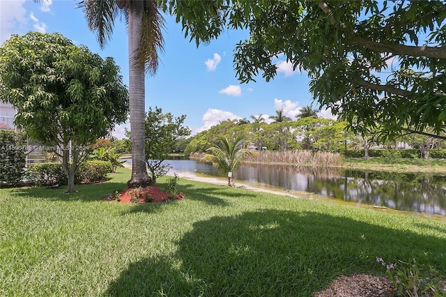 view of yard featuring a water view