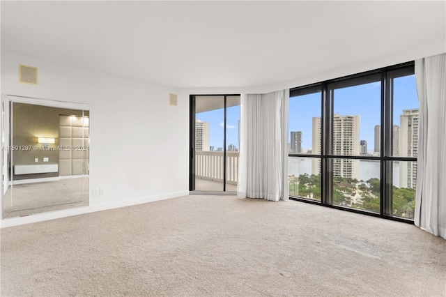 carpeted empty room featuring a wealth of natural light and floor to ceiling windows