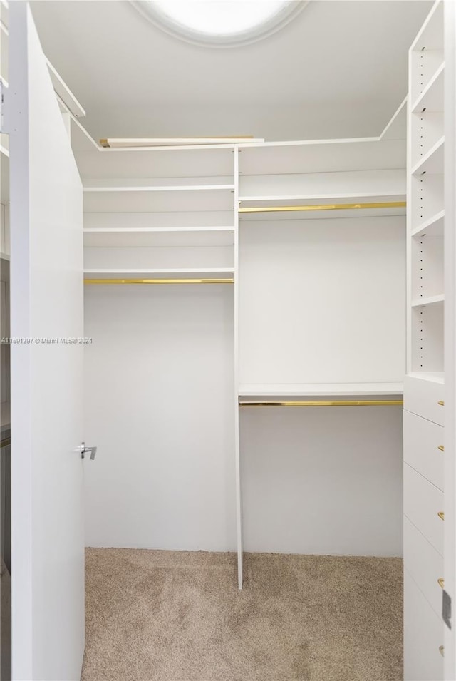 spacious closet featuring carpet