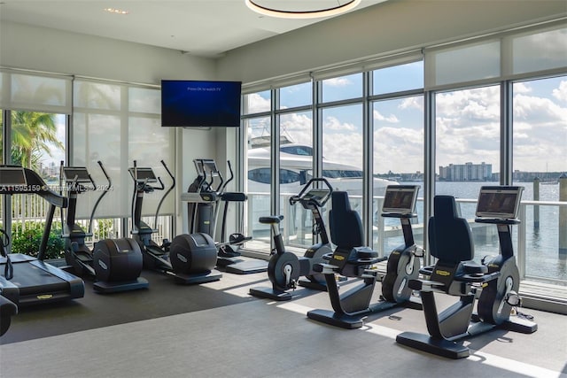 workout area featuring a wealth of natural light