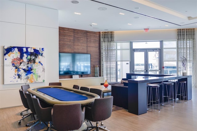 rec room featuring french doors, a wealth of natural light, and light hardwood / wood-style flooring